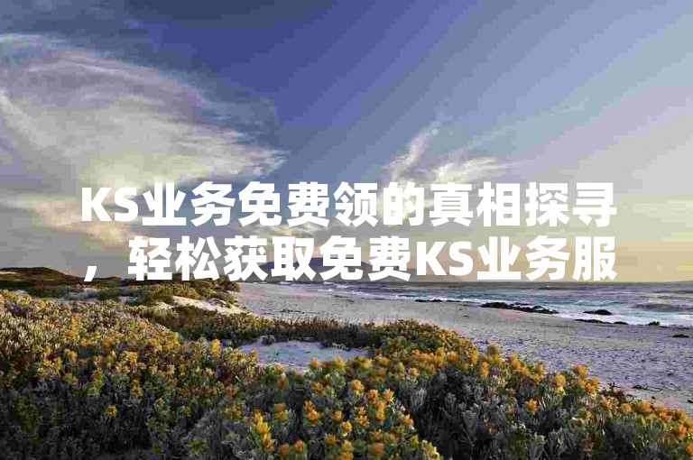 KS业务免费领的真相探寻，轻松获取免费KS业务服务