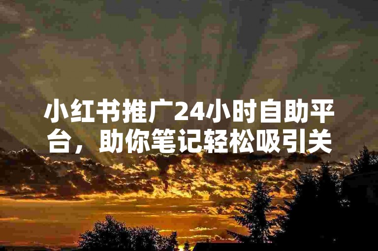 小红书推广24小时自助平台，助你笔记轻松吸引关注与流量