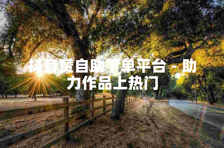 抖音赞自助下单平台 - 助力作品上热门