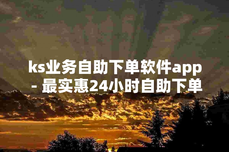 ks业务自助下单软件app - 最实惠24小时自助下单软件获取