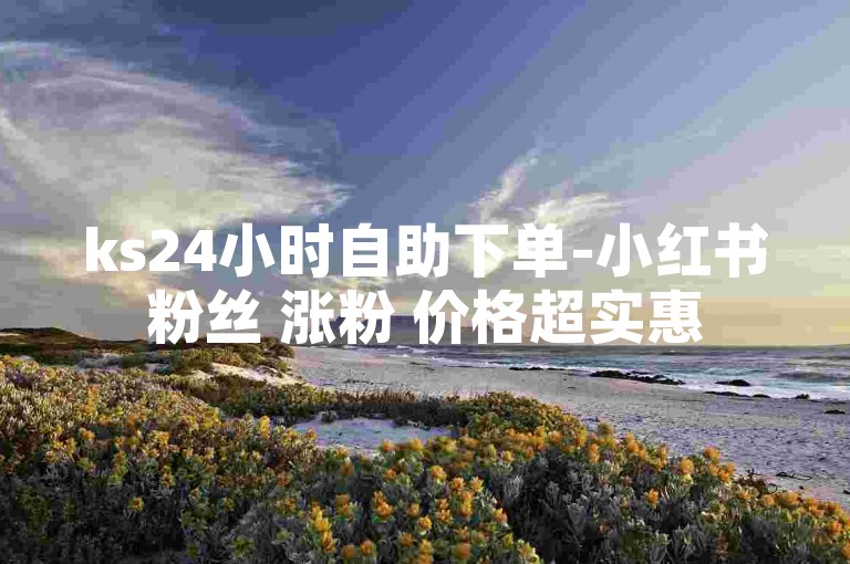 ks24小时自助下单-小红书粉丝 涨粉 价格超实惠