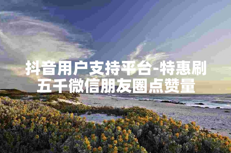 抖音用户支持平台-特惠刷五千微信朋友圈点赞量