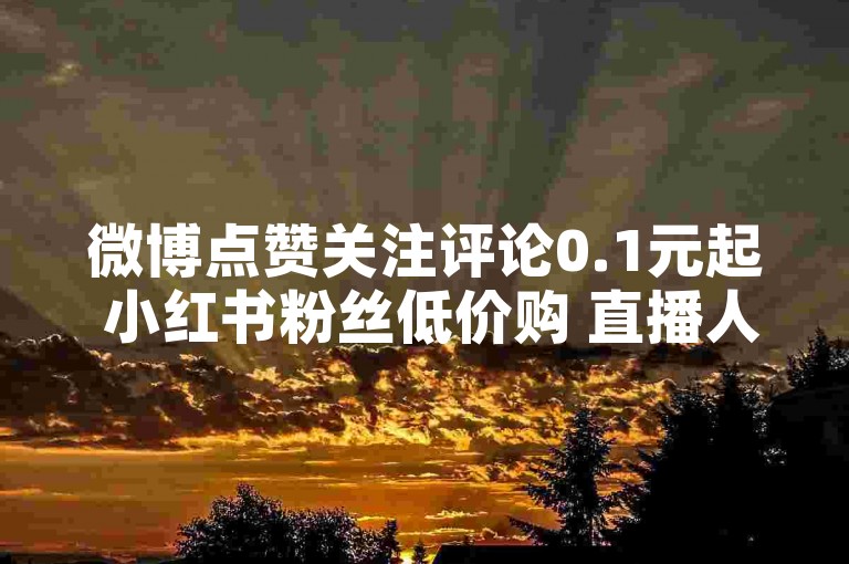 微博点赞关注评论0.1元起 小红书粉丝低价购 直播人气助力网