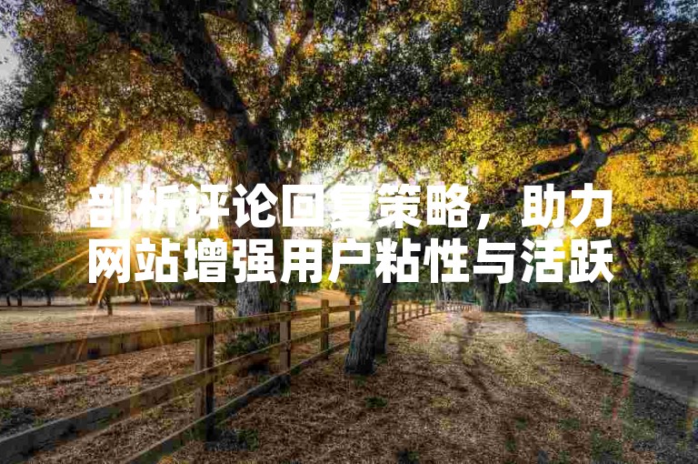剖析评论回复策略，助力网站增强用户粘性与活跃度