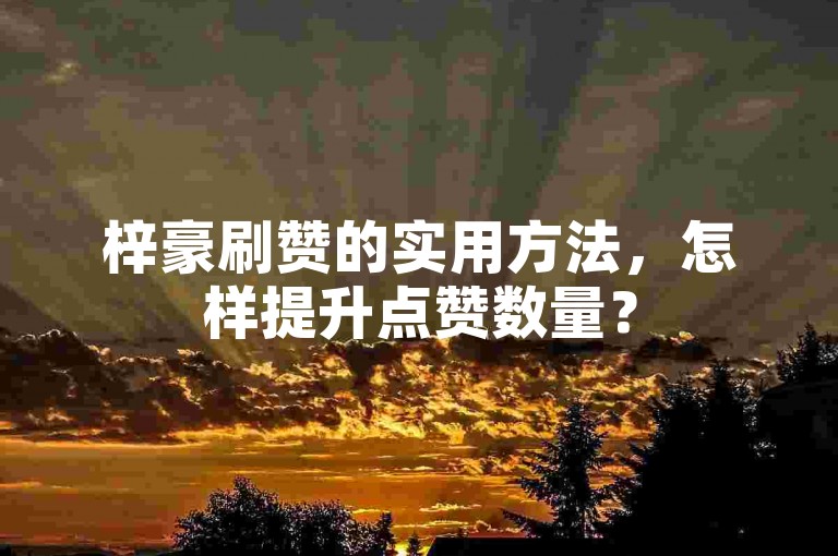 梓豪刷赞的实用方法，怎样提升点赞数量？50个超实用技巧！新手必看！-卡盟自助平台入口