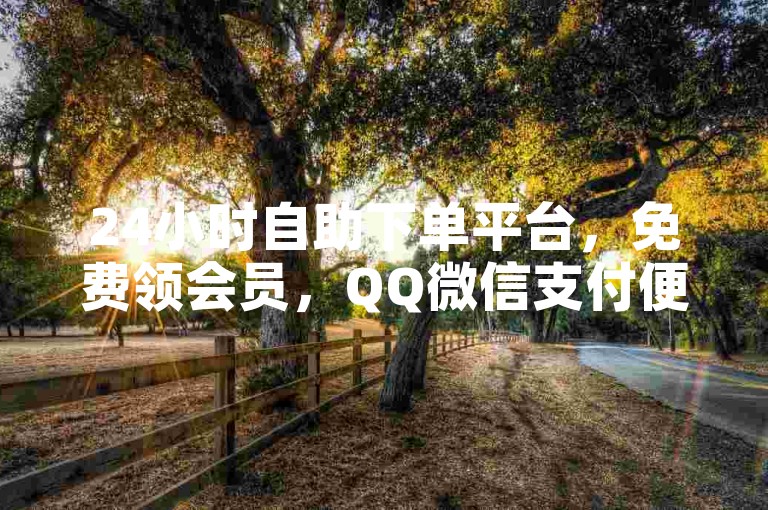24小时自助下单平台，免费领会员，QQ微信支付便捷