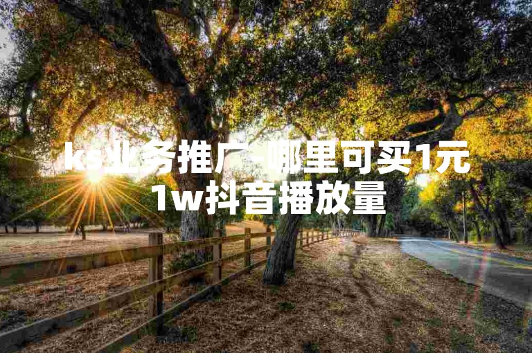 ks业务推广-哪里可买1元1w抖音播放量