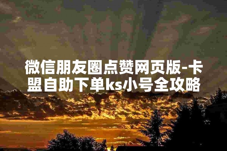 微信朋友圈点赞网页版-卡盟自助下单ks小号全攻略