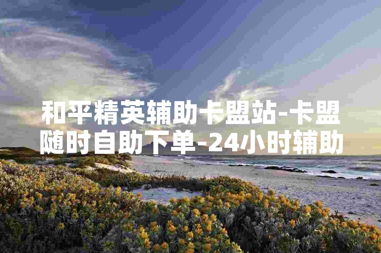 和平精英辅助卡盟站-卡盟随时自助下单-24小时辅助卡盟平台-低价秒单业务网