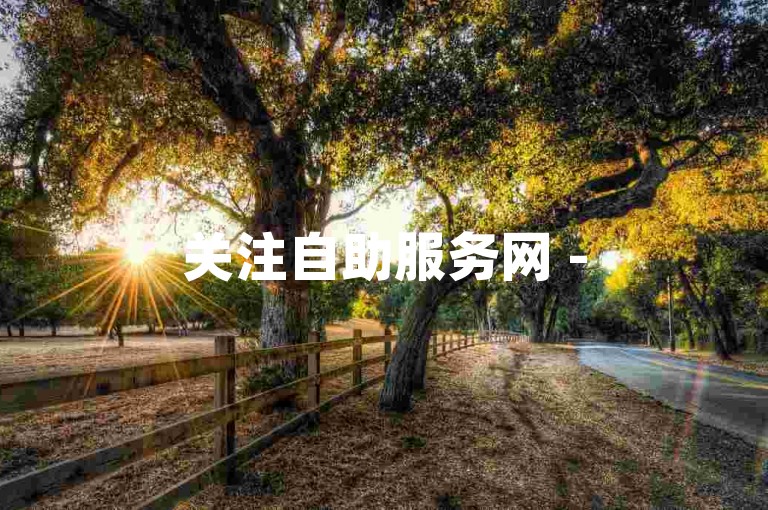 关注自助服务网 -