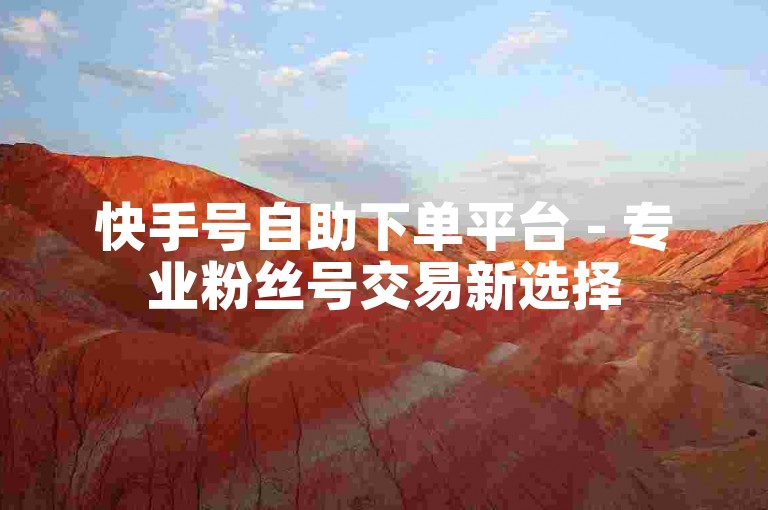 快手号自助下单平台 - 专业粉丝号交易新选择