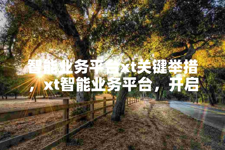 智能业务平台xt关键举措，xt智能业务平台，开启便捷创业之路！新手福音！-