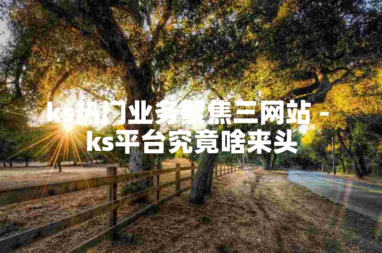 ks热门业务聚焦三网站 - ks平台究竟啥来头