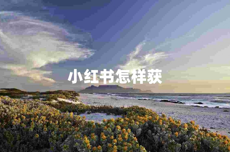 小红书怎样获500收藏量 - 如何增加小红书粉丝量