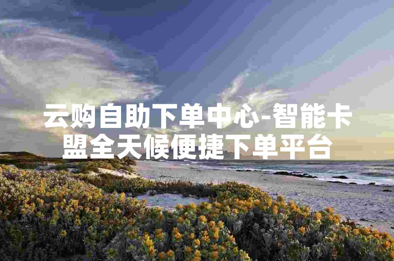 云购自助下单中心-智能卡盟全天候便捷下单平台