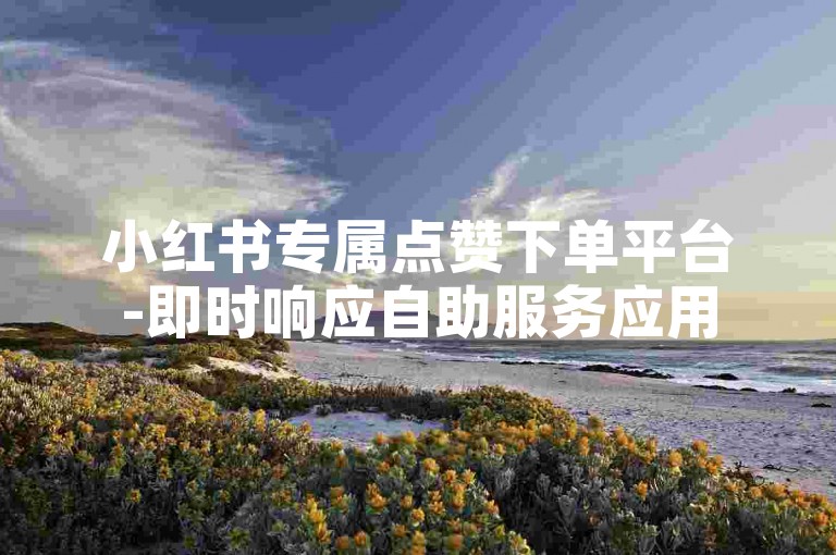 小红书专属点赞下单平台-即时响应自助服务应用