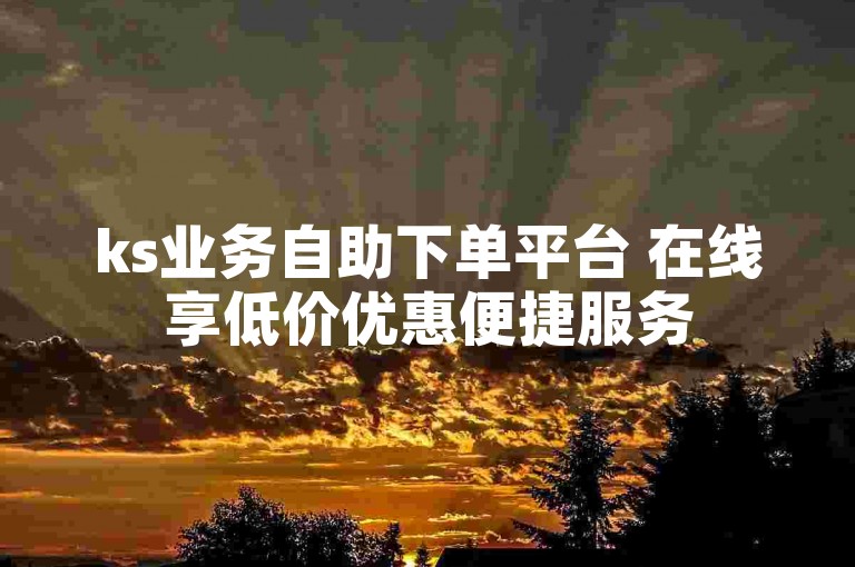 ks业务自助下单平台 在线享低价优惠便捷服务