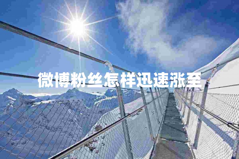微博粉丝怎样迅速涨至5000 - 微博流量购买服务平台