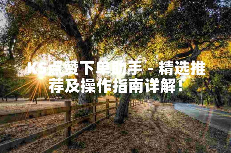 KS点赞下单助手 - 精选推荐及操作指南详解！