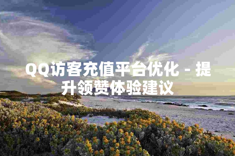 QQ访客充值平台优化 - 提升领赞体验建议