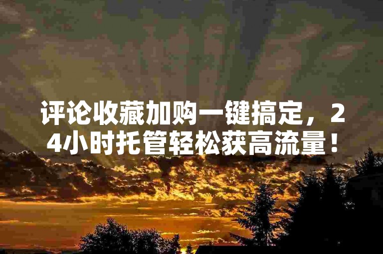 评论收藏加购一键搞定，24小时托管轻松获高流量！
