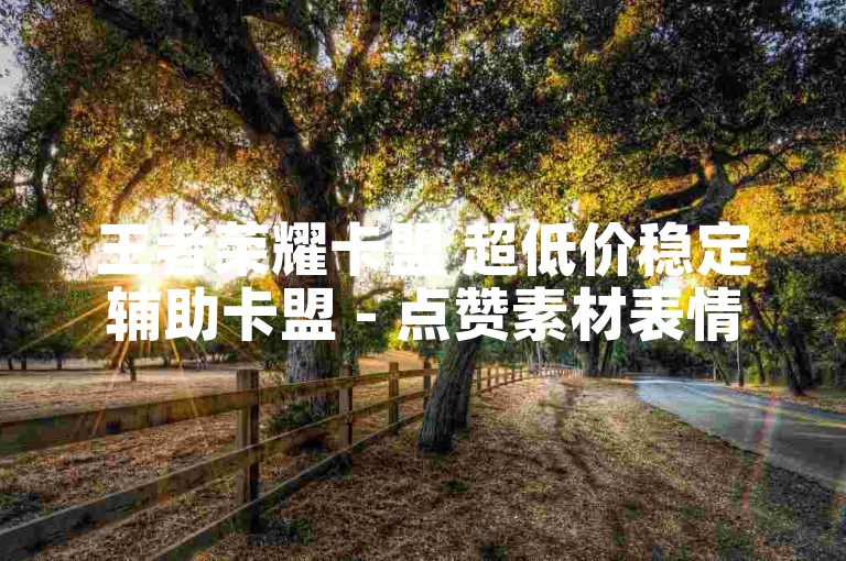 王者荣耀卡盟 超低价稳定辅助卡盟 - 点赞素材表情包微信
