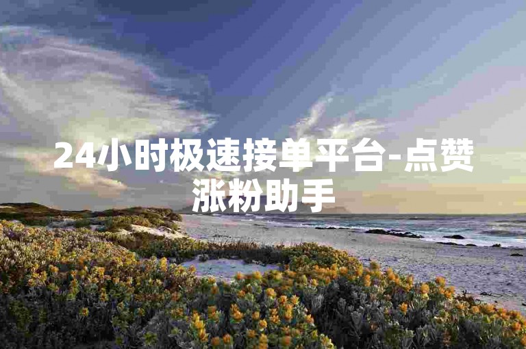 24小时极速接单平台-点赞涨粉助手