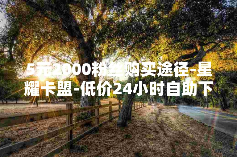 5元2000粉丝购买途径-星耀卡盟-低价24小时自助下单平台-dy业务超实惠