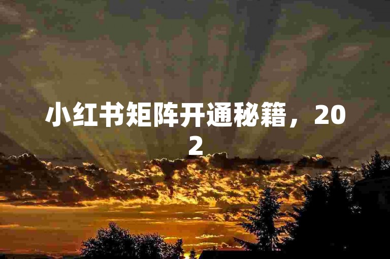 小红书矩阵开通秘籍，2025年如何轻松开启多账号运营？