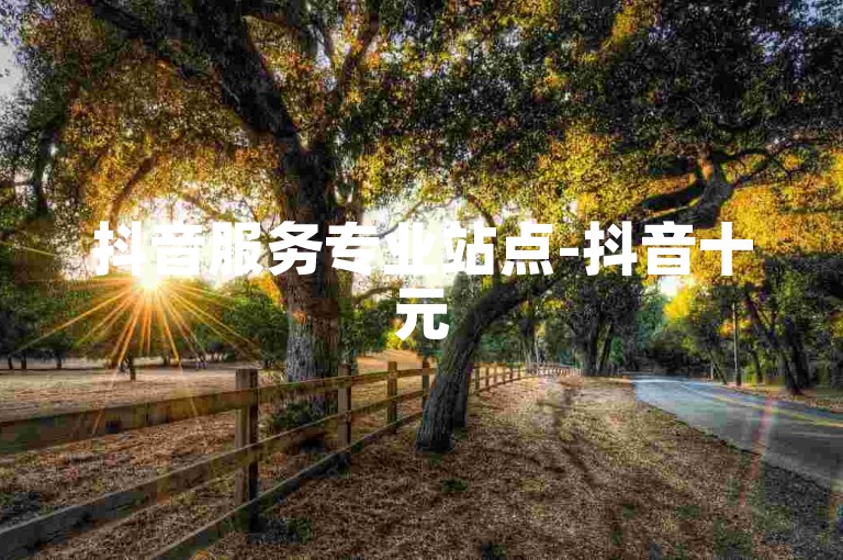抖音服务专业站点-抖音十元500个应用