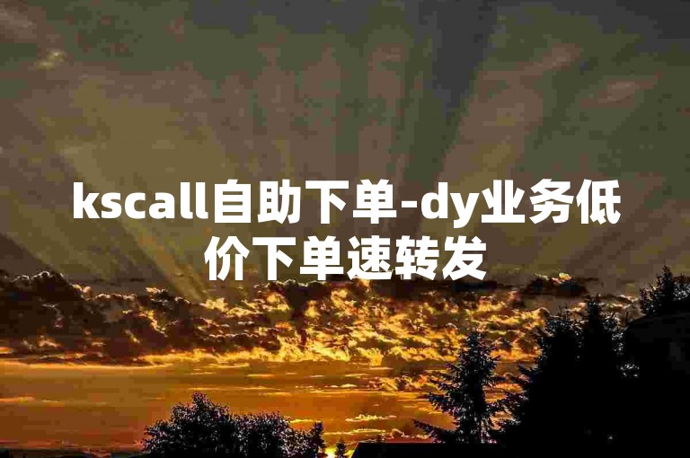 kscall自助下单-dy业务低价下单速转发