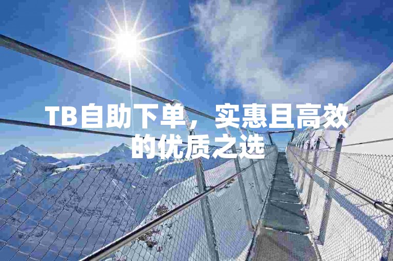 TB自助下单，实惠且高效的优质之选