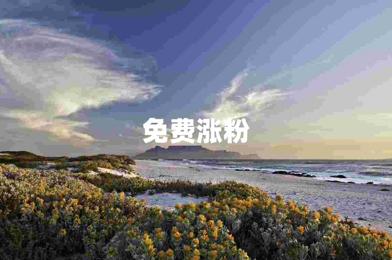 免费涨粉5000秘籍大公开，实用工具助你快速吸粉，2025必备！