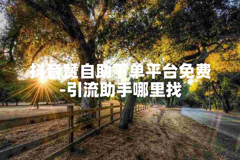 抖音赞自助下单平台免费-引流助手哪里找