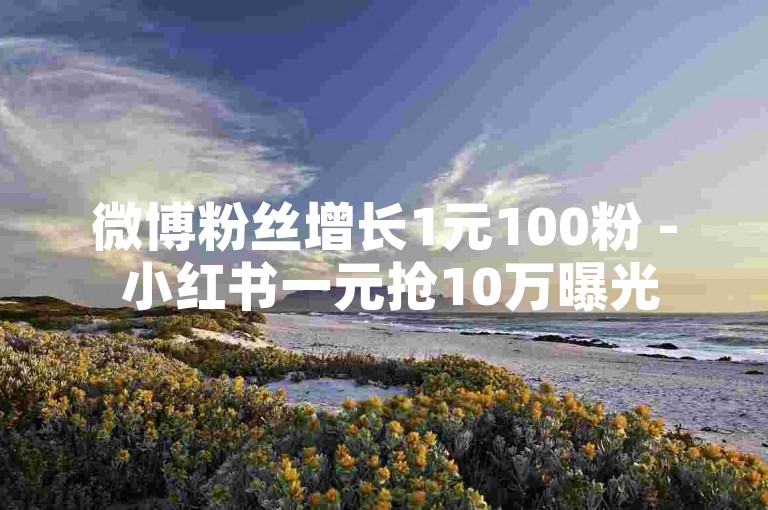微博粉丝增长1元100粉 - 小红书一元抢10万曝光