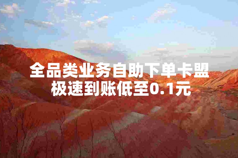 全品类业务自助下单卡盟 极速到账低至0.1元