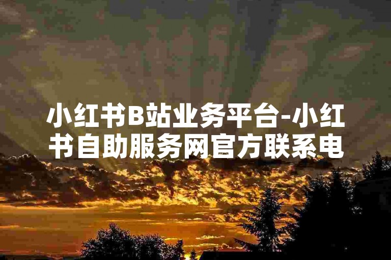 小红书B站业务平台-小红书自助服务网官方联系电话