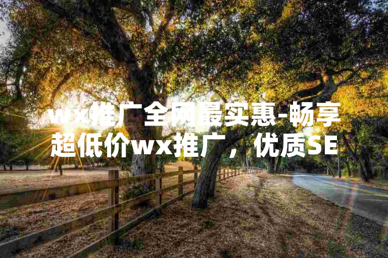 wx推广全网最实惠-畅享超低价wx推广，优质SEO助力前行