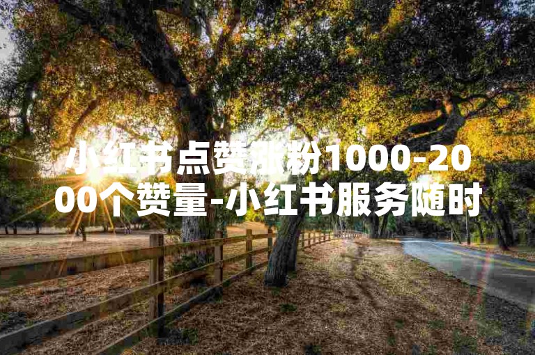 小红书点赞涨粉1000-2000个赞量-小红书服务随时可接