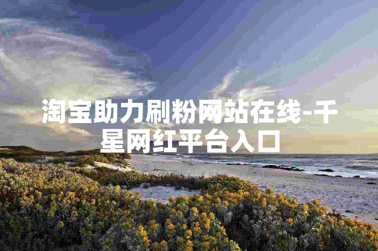 淘宝助力刷粉网站在线-千星网红平台入口