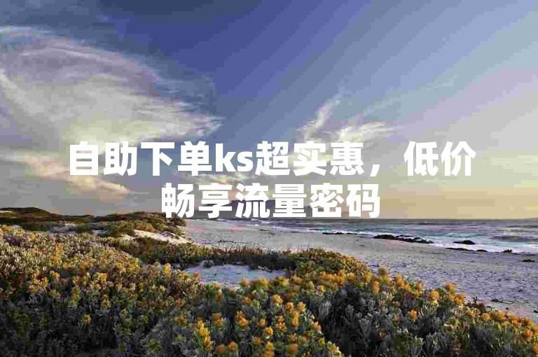 自助下单ks超实惠，低价畅享流量密码
