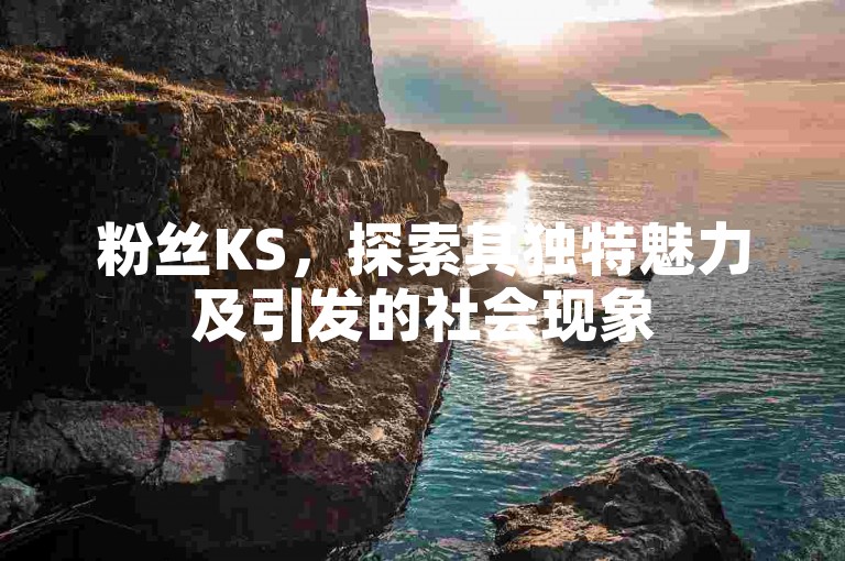 粉丝KS，探索其独特魅力及引发的社会现象