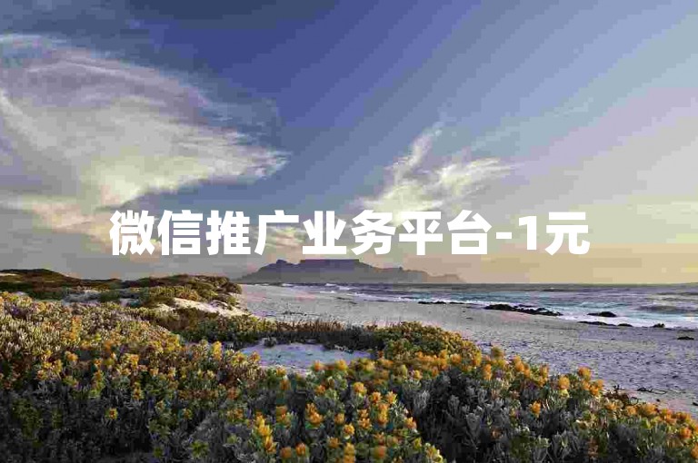 微信推广业务平台-1元500票瞬时到账工具 - 微信浏览量提升站免费 - 优质卡密批发