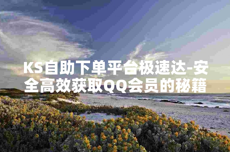 KS自助下单平台极速达-安全高效获取QQ会员的秘籍与精选网站