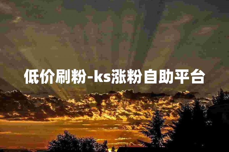 低价刷粉-ks涨粉自助平台