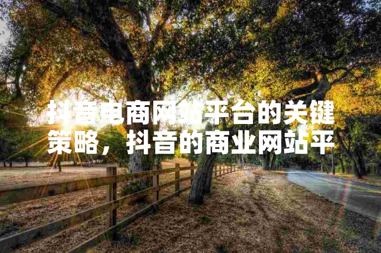 抖音电商网站平台的关键策略，抖音的商业网站平台怎样做SEM推广！新手必看！