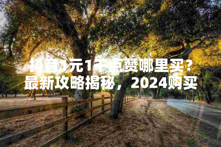 抖音1元1千点赞哪里买？最新攻略揭秘，2024购买抖音低价点赞渠道大公开！