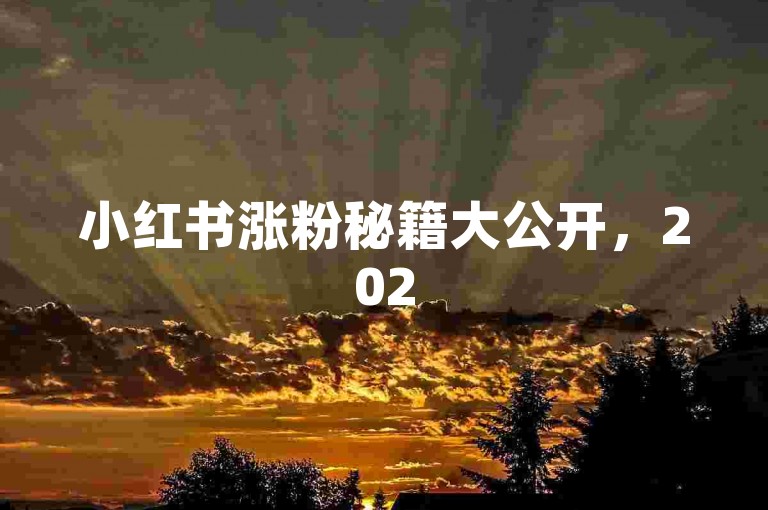 小红书涨粉秘籍大公开，2025年如何在小红书快速吸粉？！