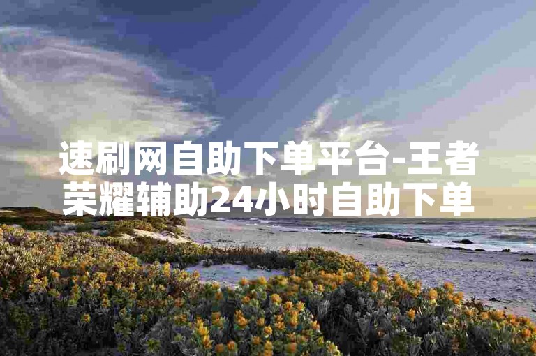 速刷网自助下单平台-王者荣耀辅助24小时自助下单
