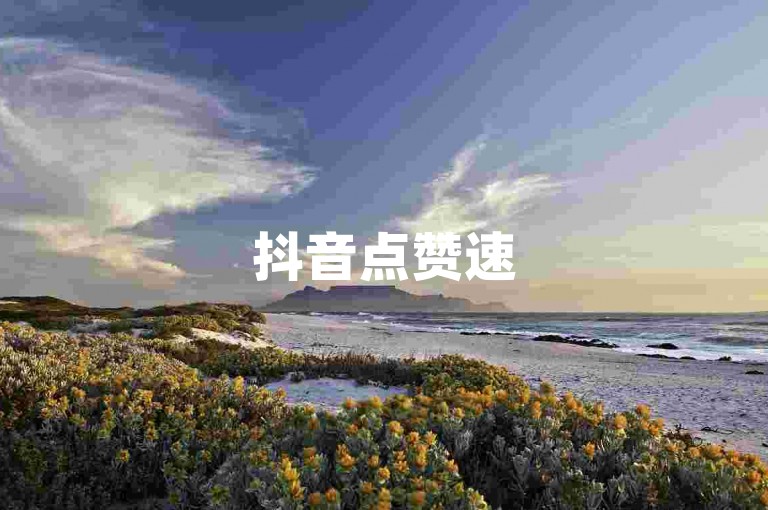 抖音点赞速5000播放0.02元小蜜蜂珠城美食旅游-ks随时可接单